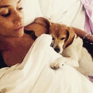 Meghan Markle et son beagle Guy au lit ensemble, photo Instagram 5 septembre 2016