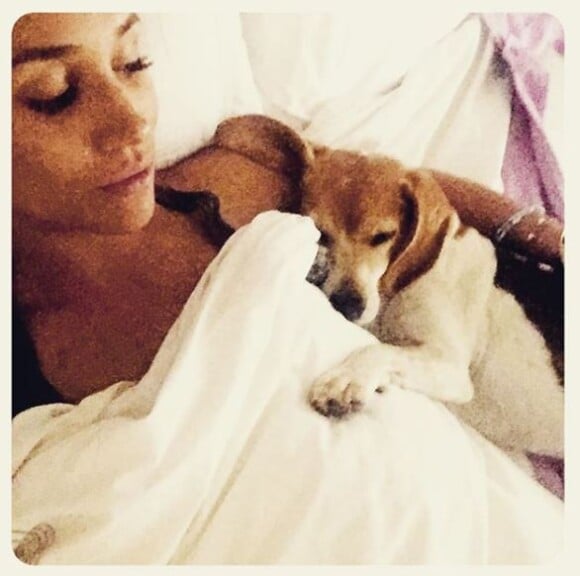 Meghan Markle et son beagle Guy au lit ensemble, photo Instagram 5 septembre 2016