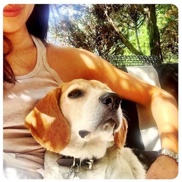 Meghan Markle et son beagle Guy, photo Instagram