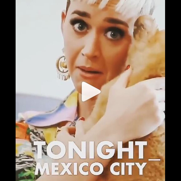 Katy Perry a visité la Black Jaguar White Tiger Foundation au Mexique. Instagram, mai 2018