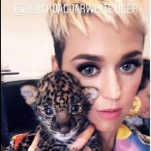 Katy Perry a visité la Black Jaguar White Tiger Foundation au Mexique. Instagram, mai 2018