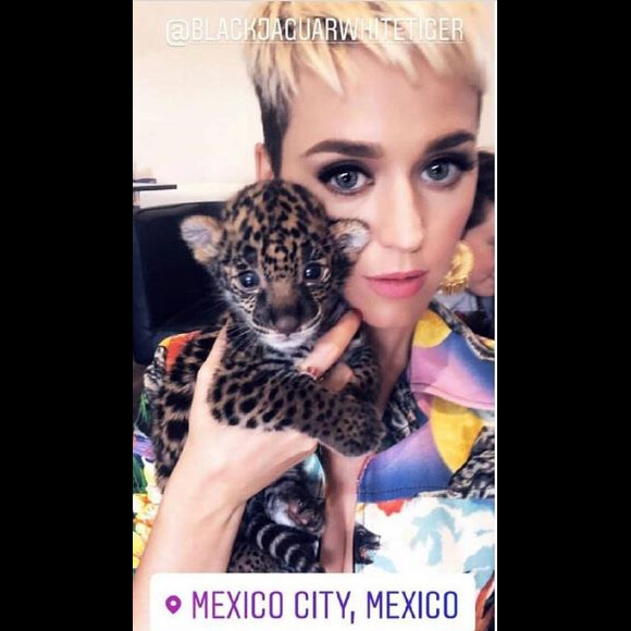 Katy Perry a visité la Black Jaguar White Tiger Foundation au Mexique. Instagram, mai 2018