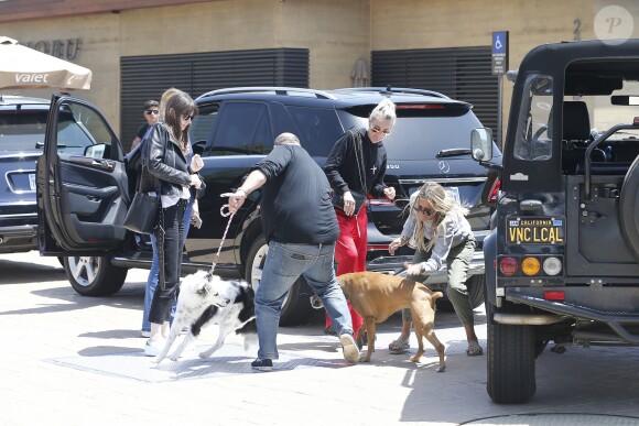 Laeticia Hallyday accompagnée de sa chienne Cheyenne va déjeuner avec Jean-François Piège et sa femme Elodie, Yaël Abrot, Christina accompagnée de sa chienne et Ezra Petronio avec sa compagne Lana Petrusevych au restaurant Nobu à Malibu le 10 mai 2018.