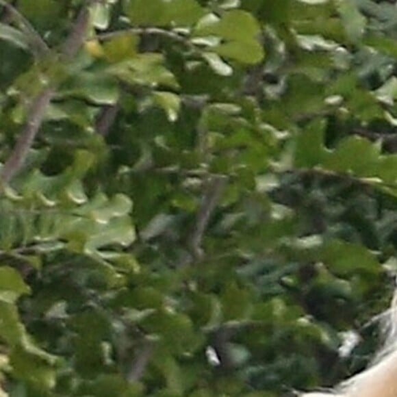 Exclusif - Ben Affleck et sa compagne Lindsay Shookus se câlinent et discutent en admirant la nouvelle maison de l'acteur à Los Angeles, le 24 mai 2018
