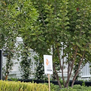 Exclusif - Ben Affleck et sa compagne Lindsay Shookus se câlinent et discutent en admirant la nouvelle maison de l'acteur à Los Angeles, le 24 mai 2018