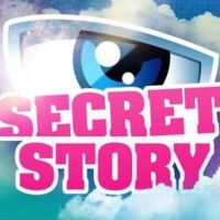 Secret Story 7 : Une candidate enceinte de son premier enfant