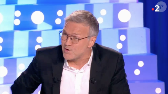 Laurent Ruquier s'agace contre Nicolas Dupont-Aignan dans "On n'est pas couché" (France 2) samedi 23 juin 2018.