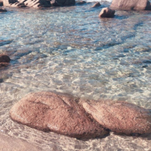 Alizée, son coup de gueule depuis une plage corse le 13 août 2018.
