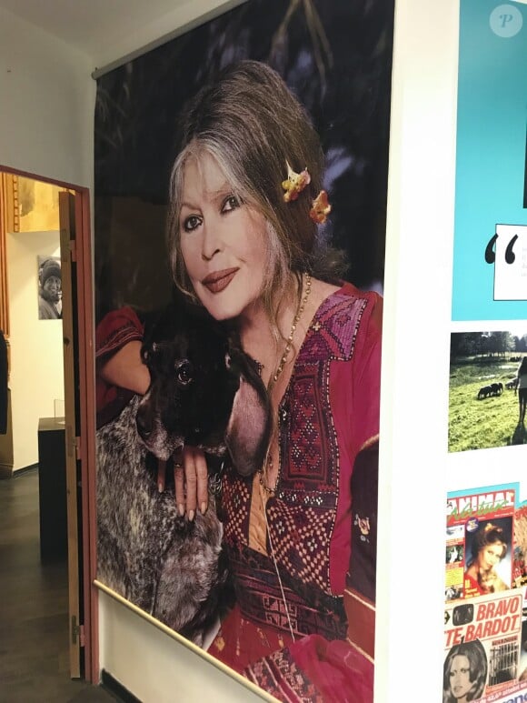 Vernissage de l'exposition de Brigitte Bardot au Château de la Buzine à Marseille. Le 26 septembre 2018 © Patrick Carpentier / Bestimage 26/09/2018 - Marseille