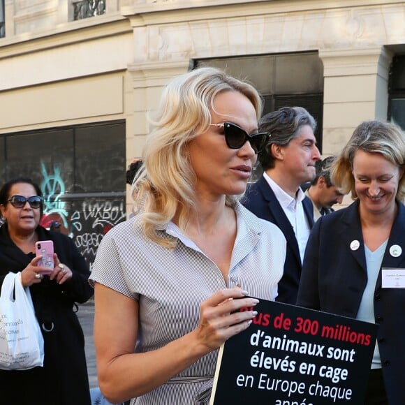 L'actrice américaine Pamela Anderson (Danse avec les Stars 2018) se fait enfermer lors d'un happening contre les élevages en cage sur la place de la République à Paris, France, le 10 octobre 2018. © Sébastien Valiela/Bestimage