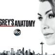 Grey's Anatomy, série de la chaîne ABC
