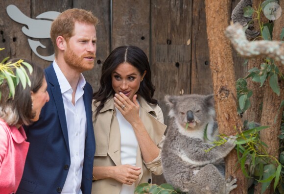 Le prince Harry et Meghan Markle au zoo de Taronga, en Australie, le 16 octobre 2018