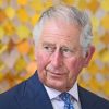 Le prince Charles, prince de Galles participe à une réunion sur les matières plastiques à Accra lors de son voyage au Ghana le 5 novembre 2018.