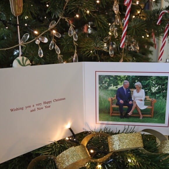 Le prince Charles et la duchesse Camilla de Cornouailles ont été photographiés à Clarence House par Hugo Burnand pour leur carte de voeux de fin d'année 2018. © Hugo Burnand/PA Wire /ABACAPRESS.COM.