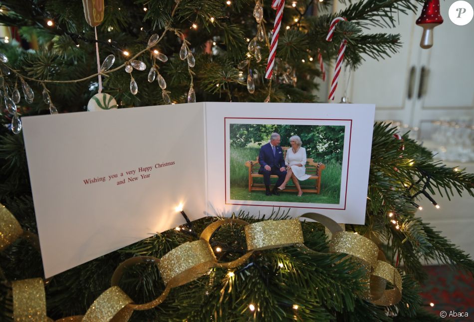 Le Prince Charles Et La Duchesse Camilla De Cornouailles Ont Ete Photographies A Clarence House Par Hugo Burnand Pour Leur Carte De Voeux De Fin D Annee 18 C Purepeople