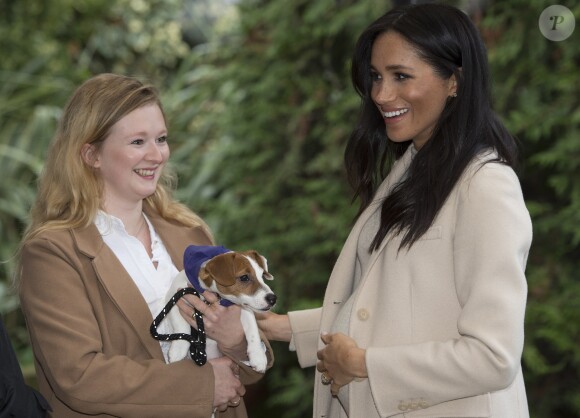 Meghan Markle, duchesse de Sussex, enceinte, en visite au centre Mayhew, un centre d'accueil caritatif pour animaux à Londres le 16 janvier 2019.