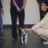 Meghan Markle, duchesse de Sussex, enceinte, en visite au centre Mayhew, un centre d'accueil caritatif pour animaux à Londres le 16 janvier 2019.
