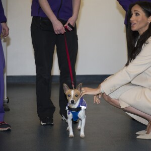 Meghan Markle, duchesse de Sussex, enceinte, en visite au centre Mayhew, un centre d'accueil caritatif pour animaux à Londres le 16 janvier 2019.