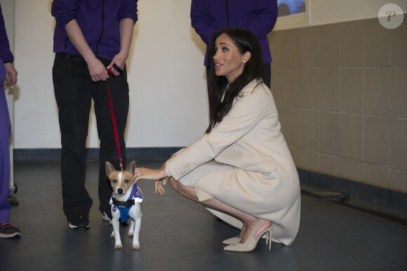 Meghan Markle, duchesse de Sussex, enceinte, en visite au centre Mayhew, un centre d'accueil caritatif pour animaux à Londres le 16 janvier 2019.