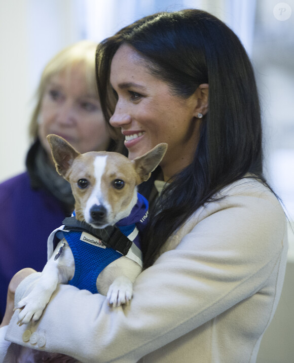 Meghan Markle, duchesse de Sussex, enceinte, en visite au centre Mayhew, un centre d'accueil caritatif pour animaux à Londres le 16 janvier 2019.