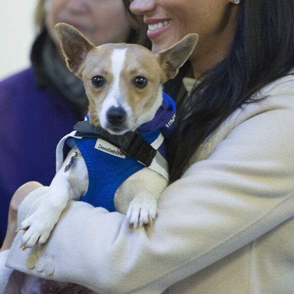 Meghan Markle, duchesse de Sussex, enceinte, en visite au centre Mayhew, un centre d'accueil caritatif pour animaux à Londres le 16 janvier 2019.