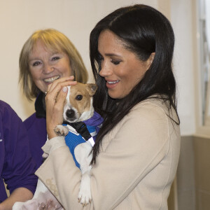 Meghan Markle, duchesse de Sussex, enceinte, en visite au centre Mayhew, un centre d'accueil caritatif pour animaux à Londres le 16 janvier 2019.