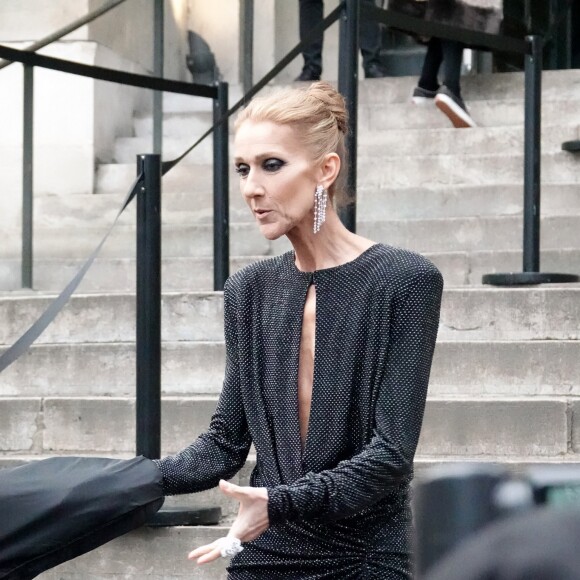 Céline Dion quitte l'hôtel De Crillon pour se rendre au Grand Palais et assister au défilé Haute Couture printemps-été 2019 "Alexandre Vauthier". Paris, le 22 janvier 2019.