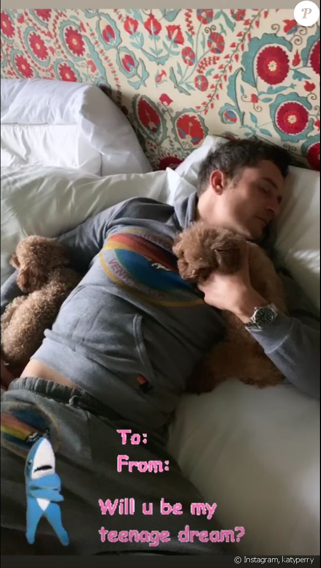 Katy Perry affiche sa romance avec Orlando Bloom sur Instagram, le 14 février 2019.