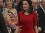 Letizia et Elena d'Espagne : Cris et insultes, rien ne va plus entre elles...