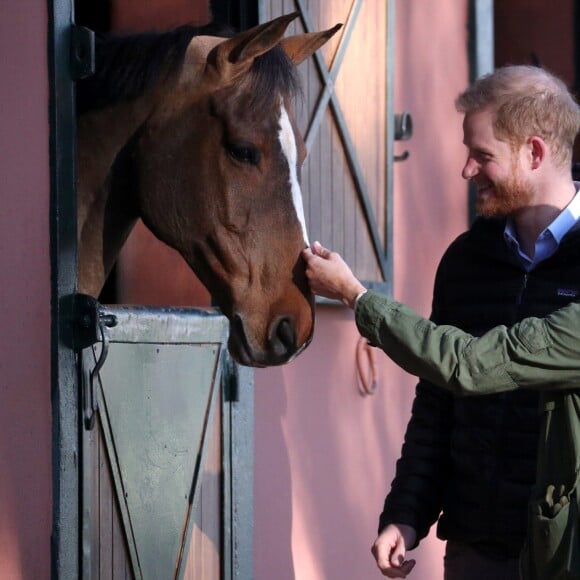 Le prince Harry et Meghan Markle (enceinte), duchesse de Sussex, en visite à la Fédération Royale Marocaine de Sports Equestres à Rabat, lors de leur voyage officiel au Maroc, le 25 février 2019