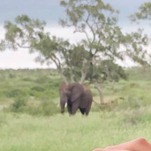 Ninon Dechavanne en Afrique du Sud pendant que son père Christophe Dechavanne tournait la 2e saison de "Je suis une célébrité, sortez-moi de là" (TF1).