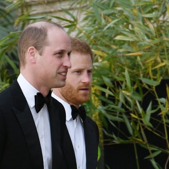 Le prince William, duc de Cambridge, le prince Harry, duc de Sussex, à la première de la série Netflix "Our Planet" au Musée d'Histoires Naturelles à Londres, le 4 avril 2019.