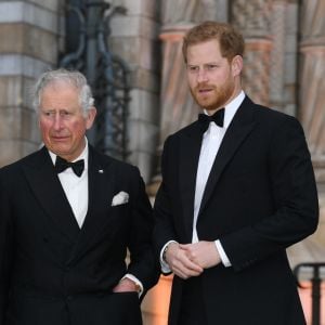 Le prince William, duc de Cambridge, Sir David Attenborough, le prince Charles, prince de Galles, le prince Harry, duc de Sussex, à la première de la série Netflix "Our Planet" au Musée d'Histoires Naturelles à Londres, le 4 avril 2019.