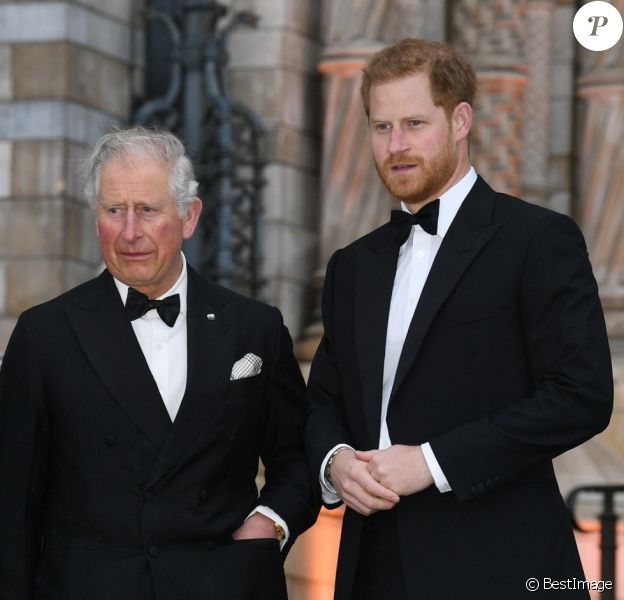 Le prince William, duc de Cambridge, Sir David Attenborough, le prince Charles, prince de Galles, le prince Harry, duc de Sussex, à la première de la série Netflix "Our Planet" au Musée d'Histoires Naturelles à Londres, le 4 avril 2019.