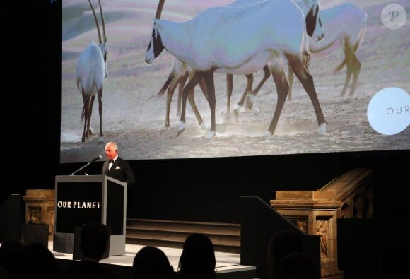 Le prince Charles, prince de Galles, lors de la première de la série Netflix "Our Planet" au Musée d'Histoires Naturelles à Londres, le 4 avril 2019.