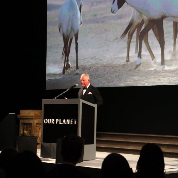 Le prince Charles, prince de Galles, lors de la première de la série Netflix "Our Planet" au Musée d'Histoires Naturelles à Londres, le 4 avril 2019.