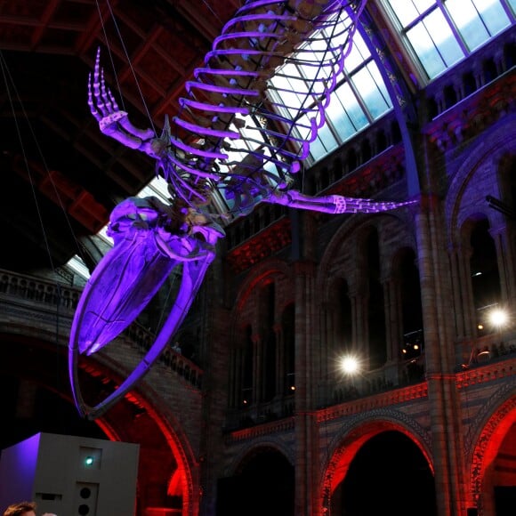 Le prince Harry, duc de Sussex, le prince William, duc de Cambridge, le prince Charles, prince de Galles lors de la première mondiale de la série Netflix "Our Planet" au Musée d'histoire naturelle de Londres le 4 avril 2019.