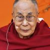 Le Dalai Lama participe au 'One - We are One Family' dans la salle de concert en plein air de Hibiya à Tokyo le 17 novembre 2018.
