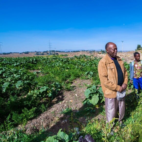 La reine Maxima des Pays-Bas en mission en Ethiopie pour la finance inclusive pour le développement, rencontrant le 14 mai 2019 des agriculteurs dans la région de Debre Berhan.