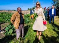 Maxima des Pays-Bas: Balade dans les champs d'Éthiopie après la fièvre sévillane