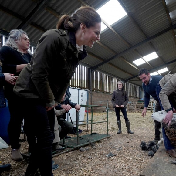 Le prince William, duc de Cambridge, et Catherine Kate Middleton, duchesse de Cambridge, participent aux activités de la ferme Deepdale Hall à Patterdale le 11 juin 2019.