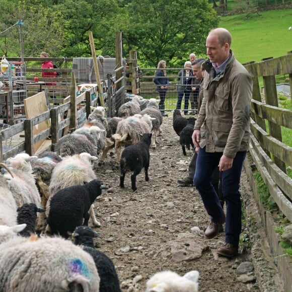 Le prince William, duc de Cambridge, et Catherine Kate Middleton, duchesse de Cambridge, participent aux activités de la ferme Deepdale Hall à Patterdale le 11 juin 2019.