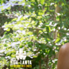 Cyril lors de l'avant-dernier épisode de "Koh-Lanta, la guerre des chefs" (TF1), vendredi 14 juin 2019.
