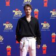 Brandon Thomas Lee assiste aux MTV Movie and TV Awards à Los Angeles le 15 juin 2019.