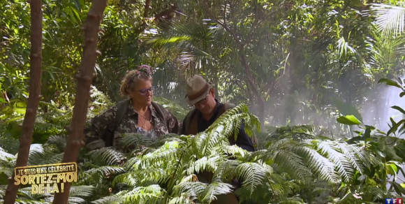 Premières images de "Je suis une célébrité, sortez-moi de là", Youtube, 18 juin 2019