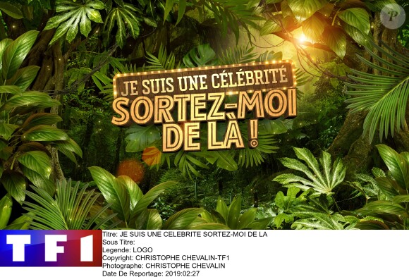 Logo officiel de "Je suis une célébrité sortez-moi de là, sur TF1