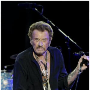 Johnny Hallyday : Son cercueil déplacé pour la construction d'un caveau familial