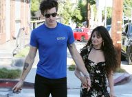 Camila Cabello et Shawn Mendes, un faux couple ? Le chanteur répond