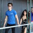 Exclusif - Camila Cabello et son compagnon Shawn Mendes vont faire des courses en amoureux au Erewhon Market dans le quartier de West Hollywood à Los Angeles, le 18 septembre 2019