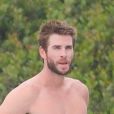 Exclusif - Liam Hemsworth est allé faire du surf le jour de la fête nationale du 4 juillet à Malibu, Los Angeles, le 4 juillet 2019